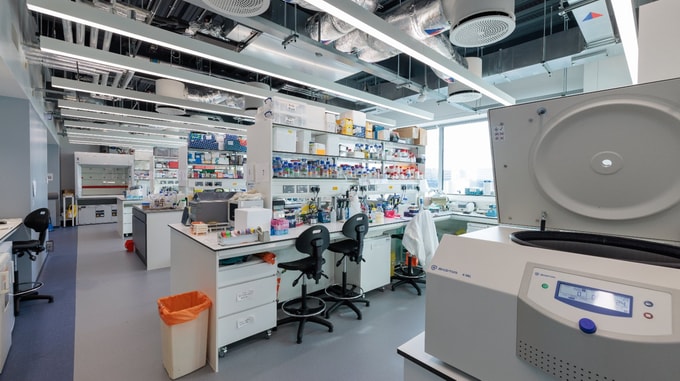 Laboratory interior at the Imperial National Heart and Lung Institute, showing researchers working at microscopes and imaging screens.