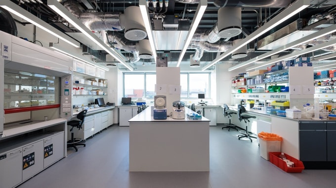 Wide view of a modern laboratory at the Imperial National Heart and Lung Institute, showing workbenches, equipment, and exposed ceiling services.