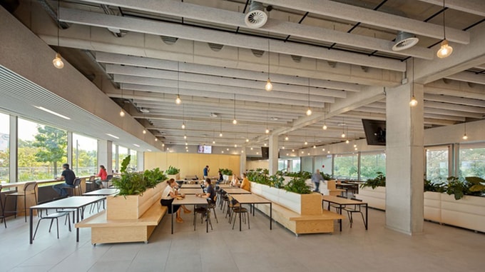 A modern workspace featuring large windows, pendant lights, plants, and various seating arrangements for collaborative activities.