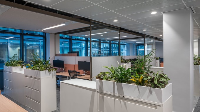 View of Taylor Wessing’s interior corridor featuring curved timber walls, recessed lighting, and a sculptural ceiling that guides movement through the space with architectural elegance.